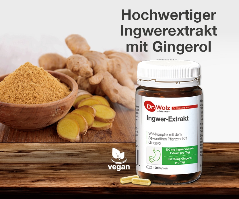 Ingwer-Extrakt-Gingerol.jpg